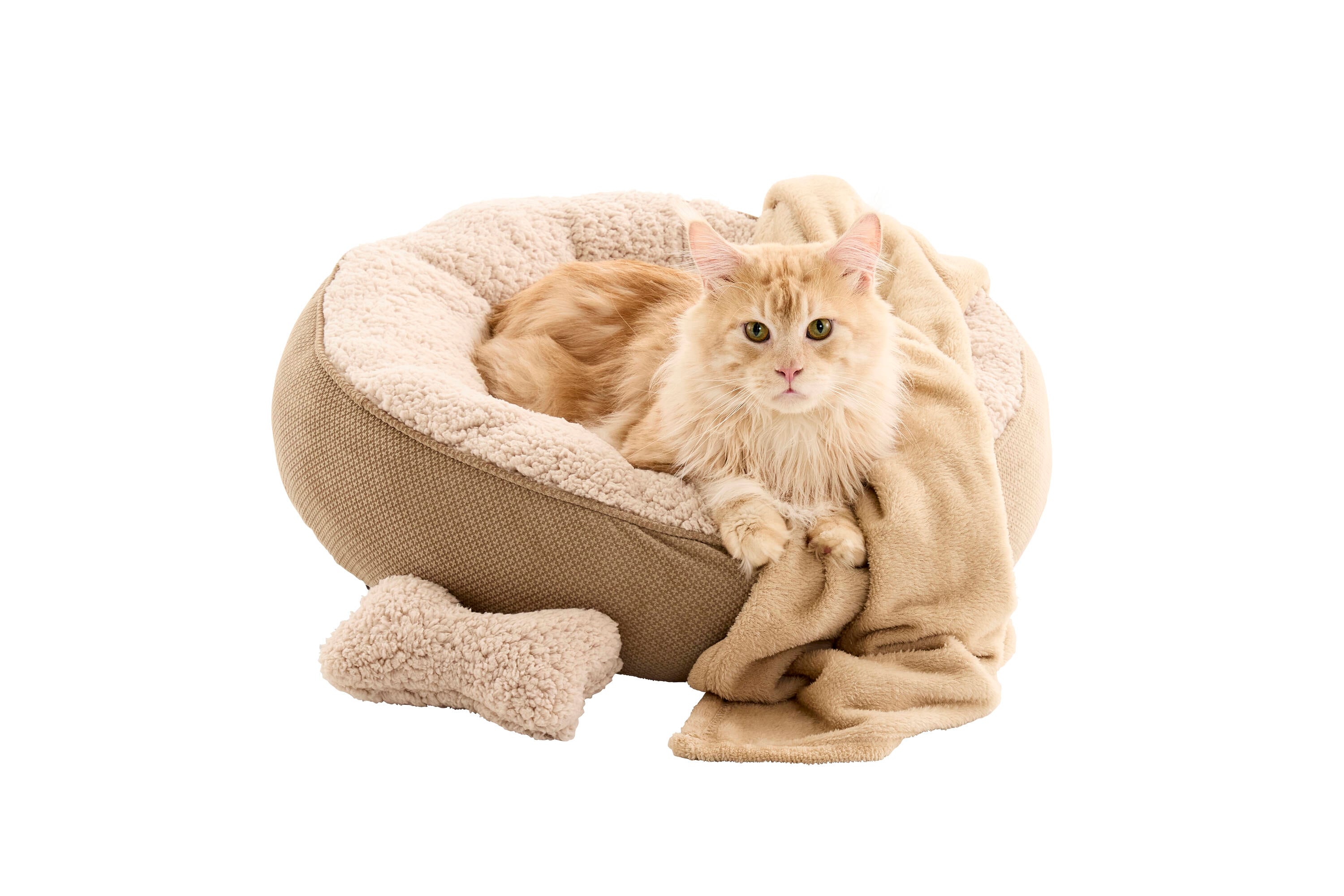 Style Selections FRND255-SMTAN01 Pet-Beds - View #5