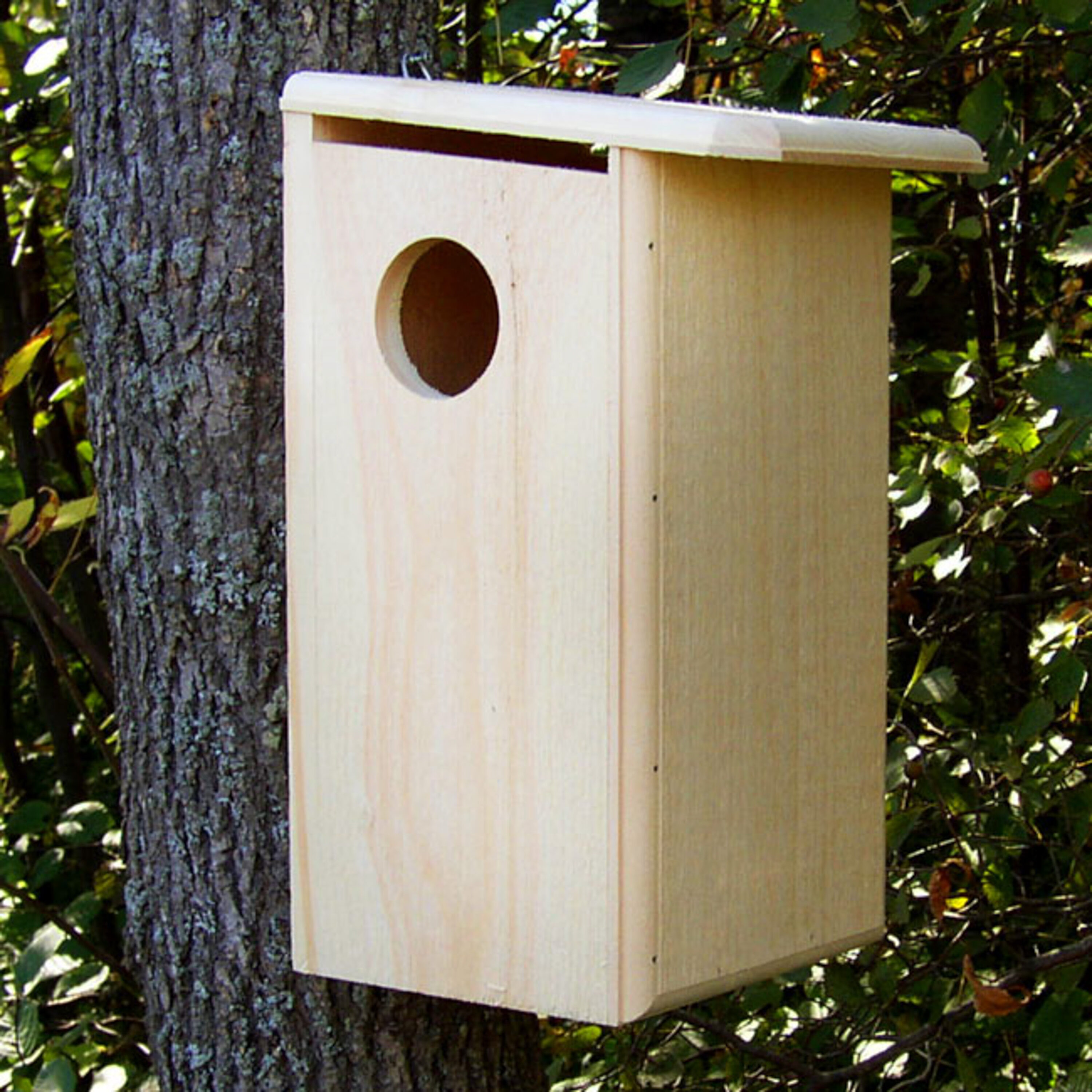 Coveside Conservation COV-20000 17.75-Inches H Natural Wood Chickadees Bird house accessories Predator Proof Bird House