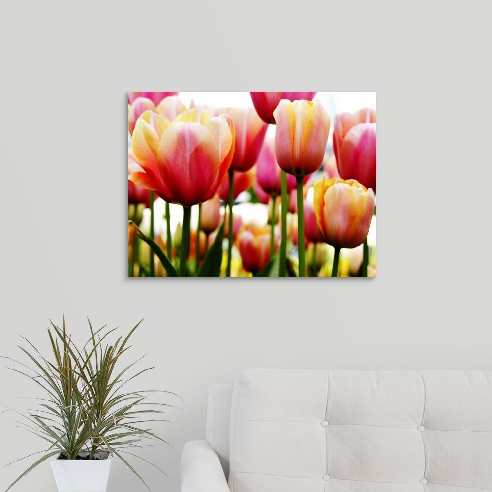 GreatBigCanvas 2529356-24-24X18 Wall-Art - View #2