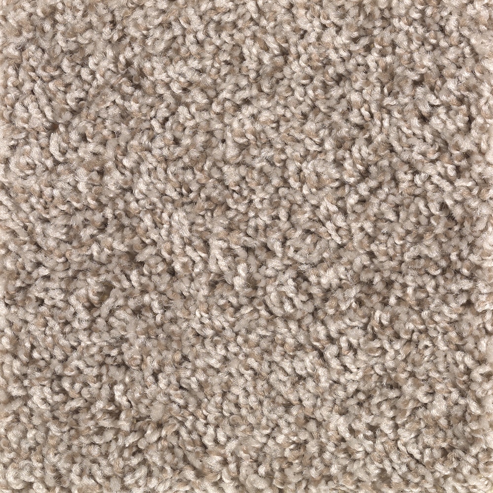 Style Selections CCV06-L007-0808 (Sample) Franklin Place Jekyll Crane Brown 40-oz sq yard Polyester Textured Indoor Carpet
