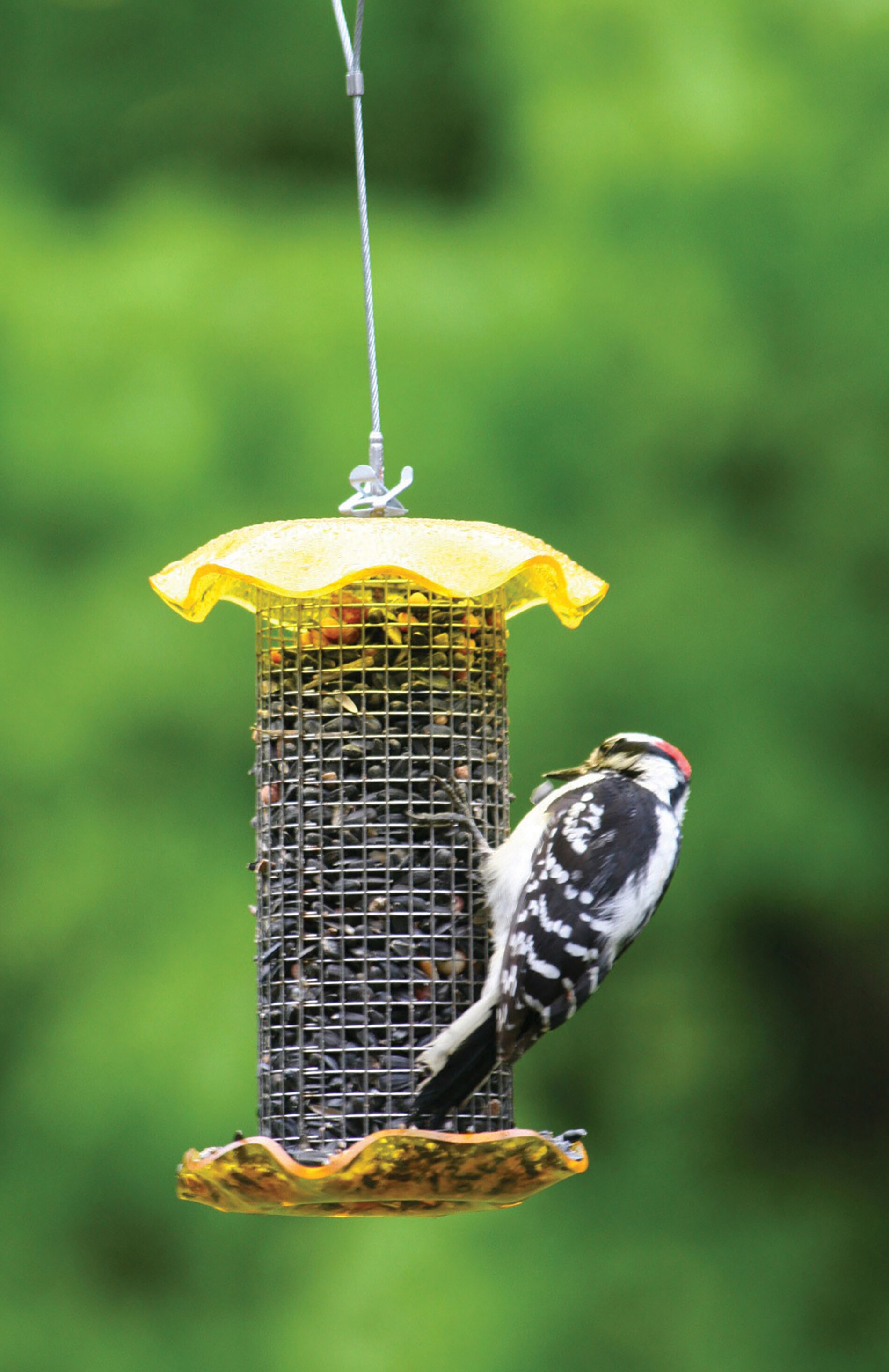 BIRDS CHOICE FF116 Bird-Feeders - View #5