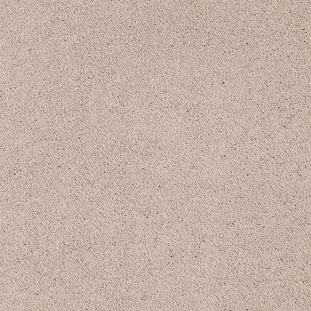 STAINMASTER PetProtect STP54-L001-0808 (Sample) Beau Dacious Cloud Swept Gray 48-oz sq yard Triexta Textured Indoor Carpet
