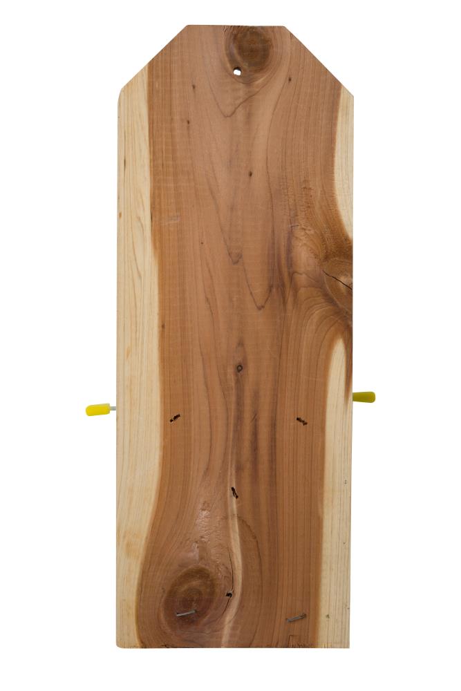  CBF-03048  - View #5