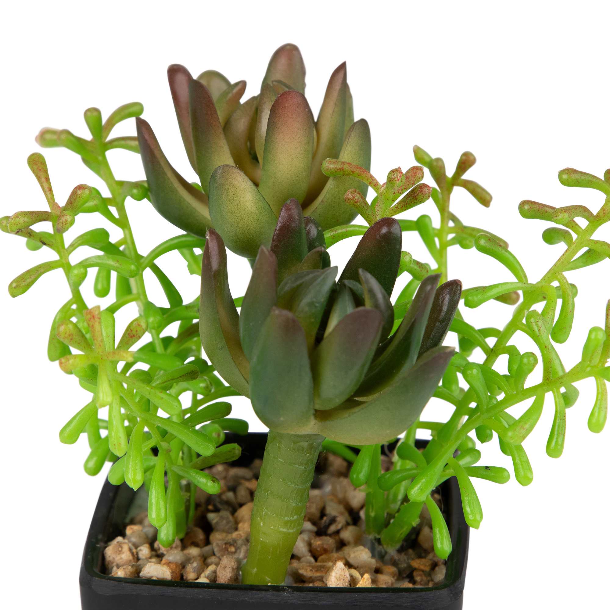 Northlight NORTHLIGHT KJI91986 Artificial-Plants-Trees - View #6