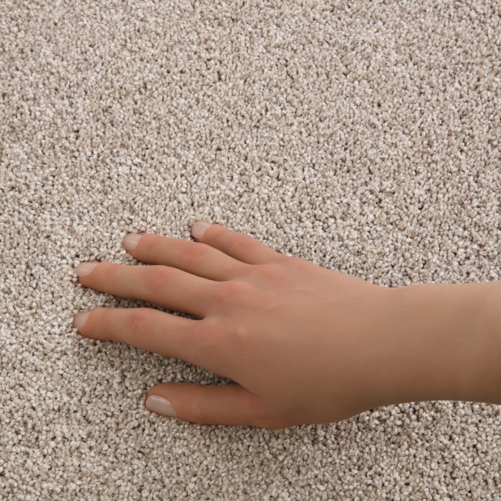 STAINMASTER PetProtect 7L941-750-SAMP Carpet-Samples - View #4