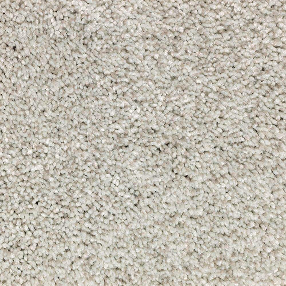 STAINMASTER STP22-12-L001 Gentle Giant Cloundland Gray 70-oz sq yard Polyester Textured Indoor Carpet