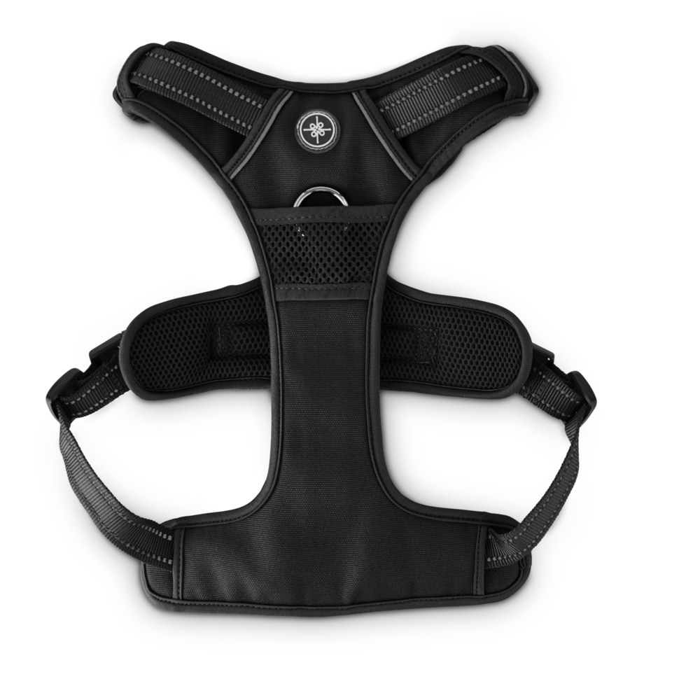 EveryYay EveryYay Embrace the Pace Black Front Walking Dog Harness 