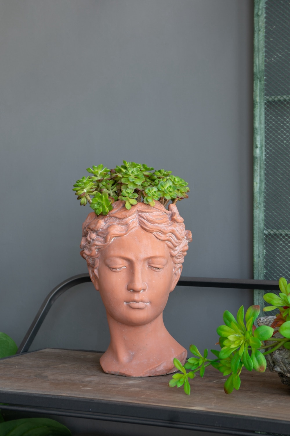 GDFStudio Mossdale Classical Versatile Indoor Outdoor Home Garden Decor Compact D7x11-in Cement Visage Head Bust Planter with Sculptural Design - Brown