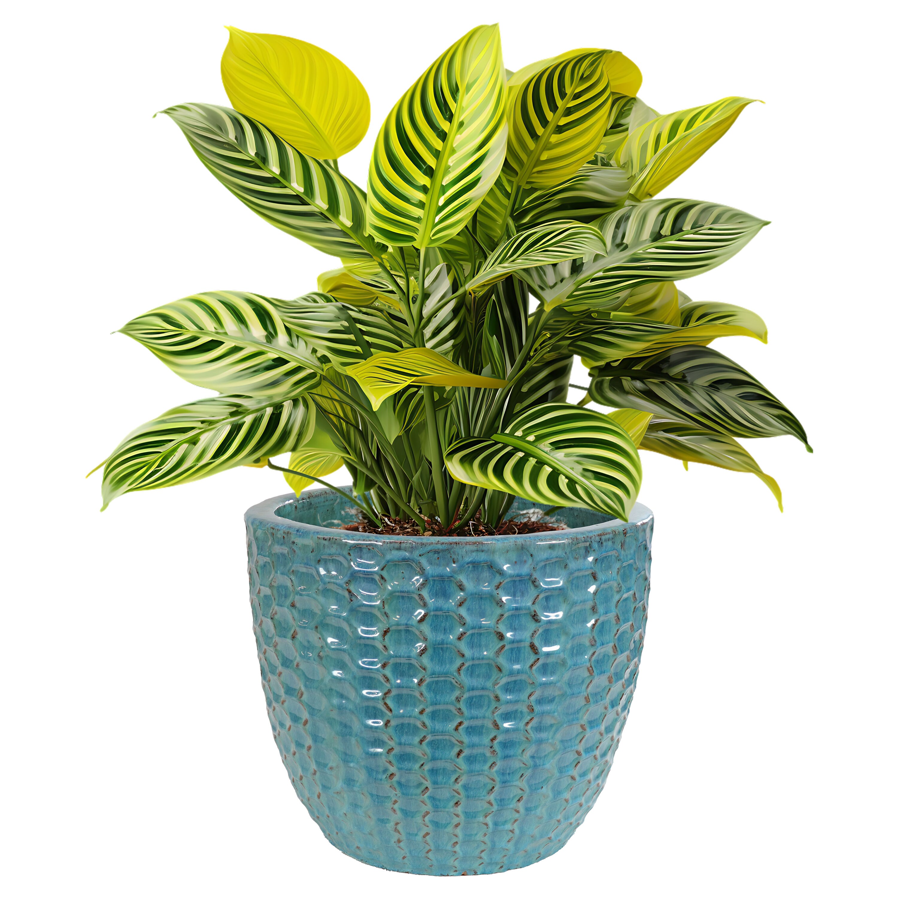 Sunnydaze Decor VBD-684 Planter-Window-Box - View #7
