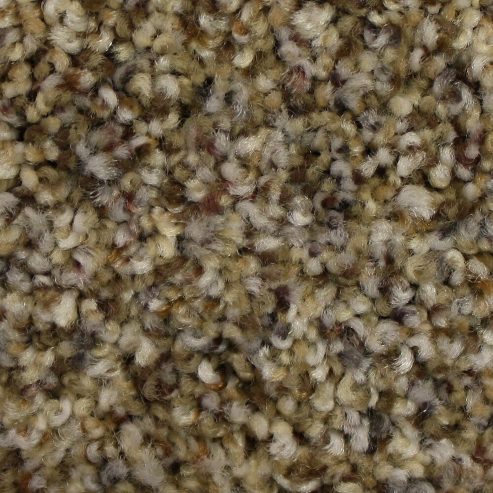 STAINMASTER S9068-14-1200-AB PetProtect Soul Mate Untouchable Textured Carpet Sample (Interior)