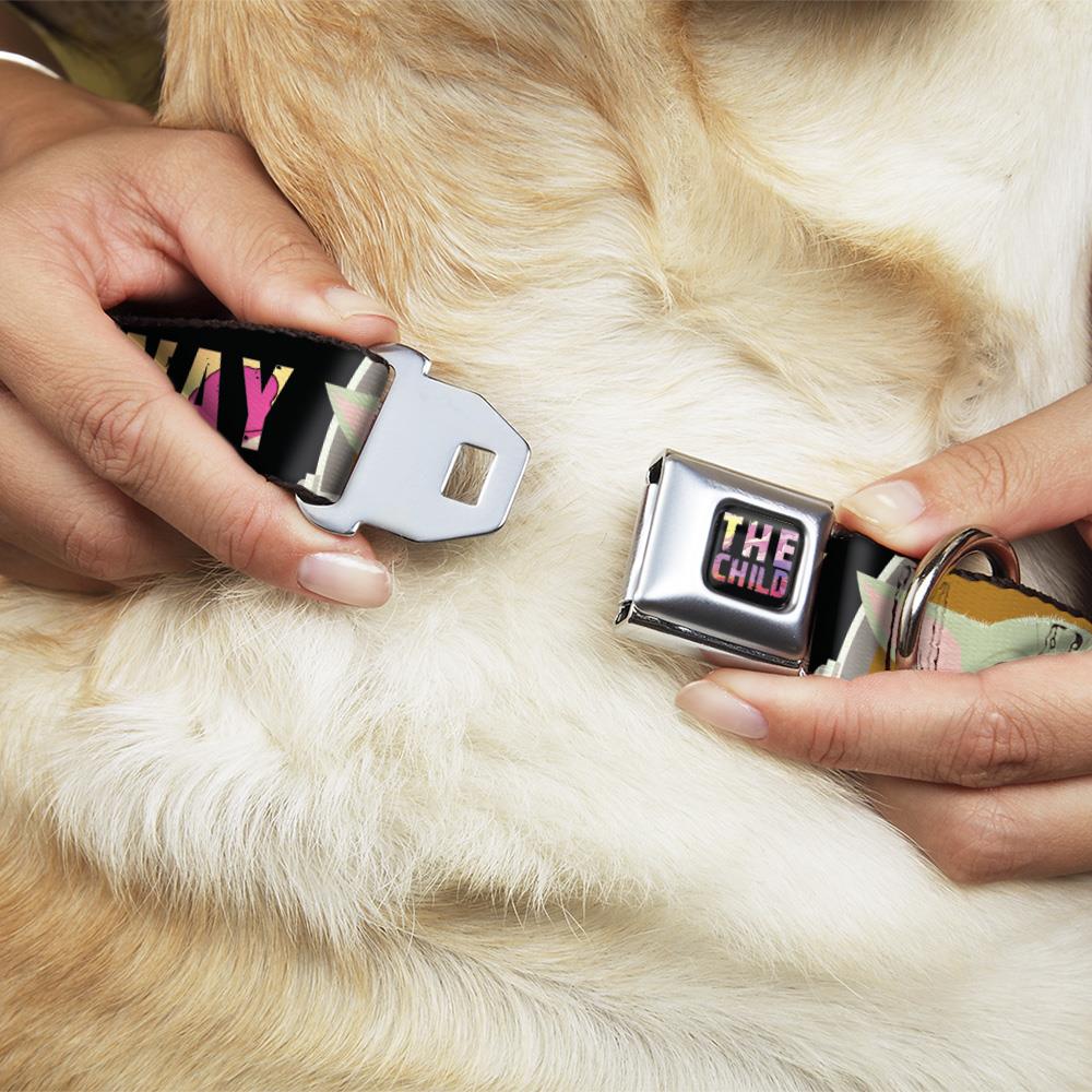 Buckle-Down DC-WSW186-WS Dog-Collars-Harnesses - View #2
