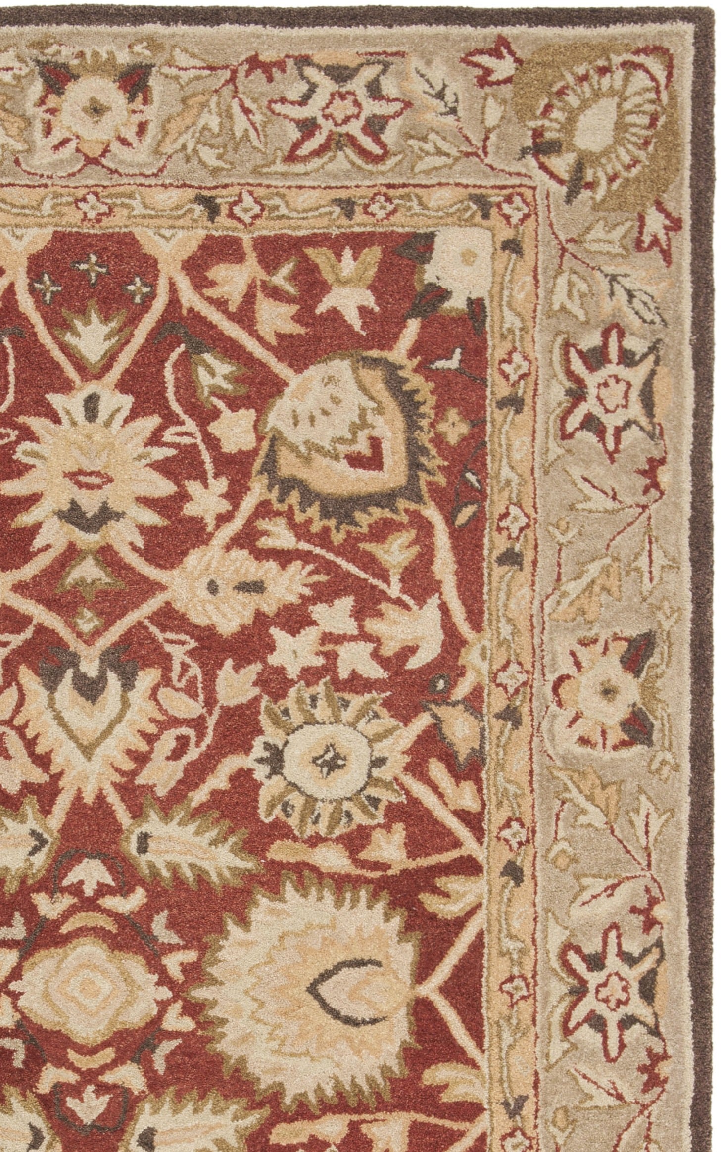 Safavieh AN512G-28 rugs - View #7