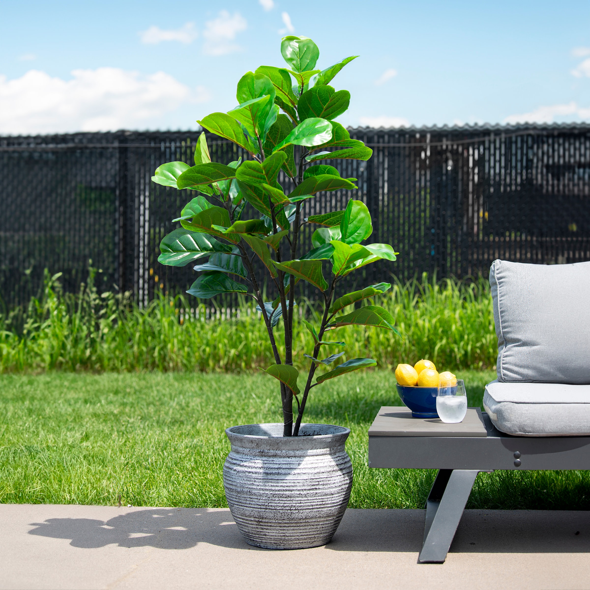 naturae decor OUT-FIDDLE-47W Artificial-Plants-Trees - View #6