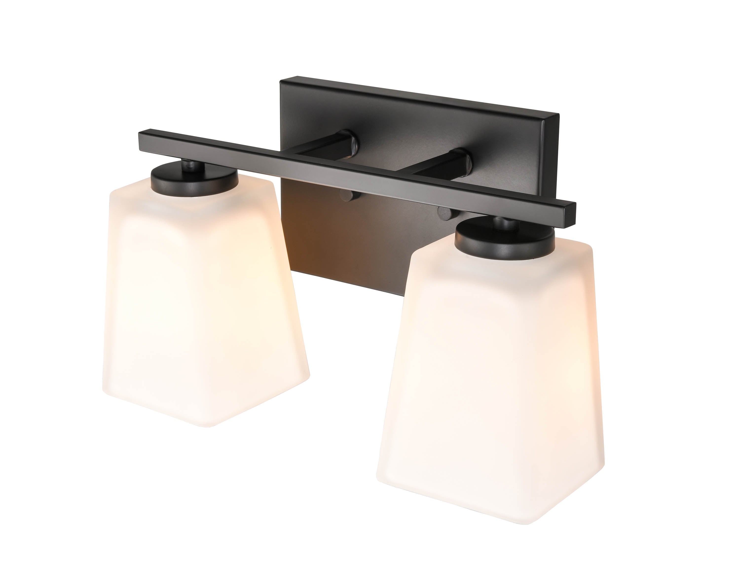 Matte Black 2-Light Vanity Fixture with Frosted Glass Shades