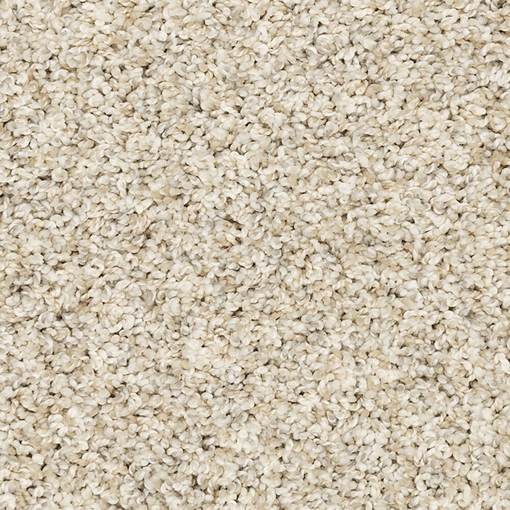 STAINMASTER SS041-L008-S0808 (Sample) Legion Lake II Highway Off-white 53-oz sq yard Solution-dyed polyester Textured Indoor Carpet