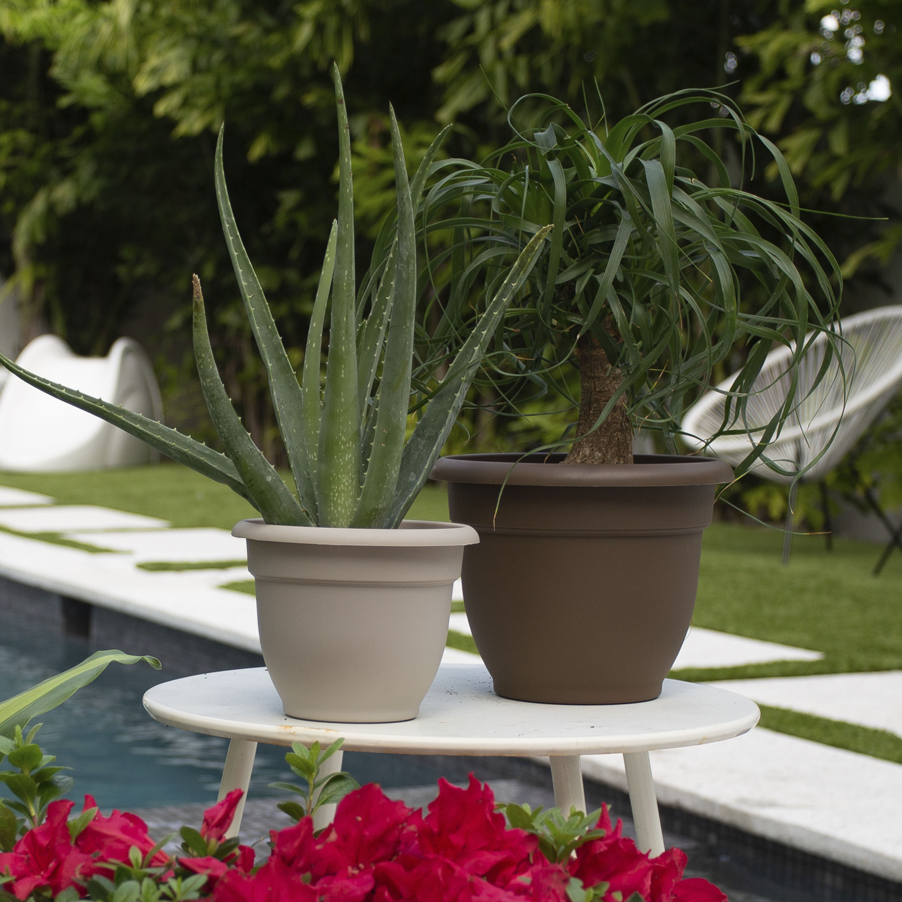 Bloem AP1283 Planter-Window-Box - View #10