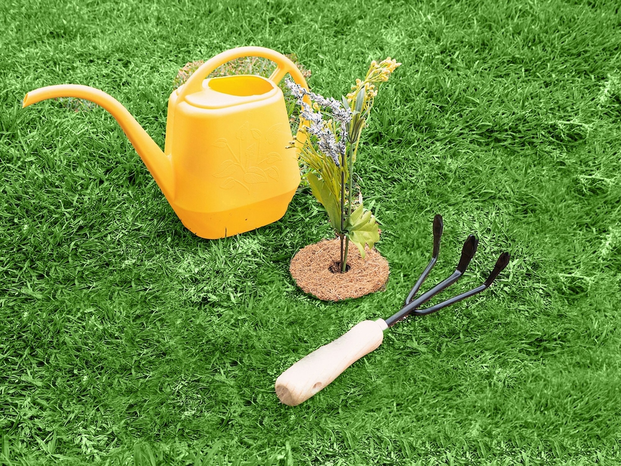 Envelor EN-CWCD-4-20 Rubber-Mulch-Tree-Rings - View #5