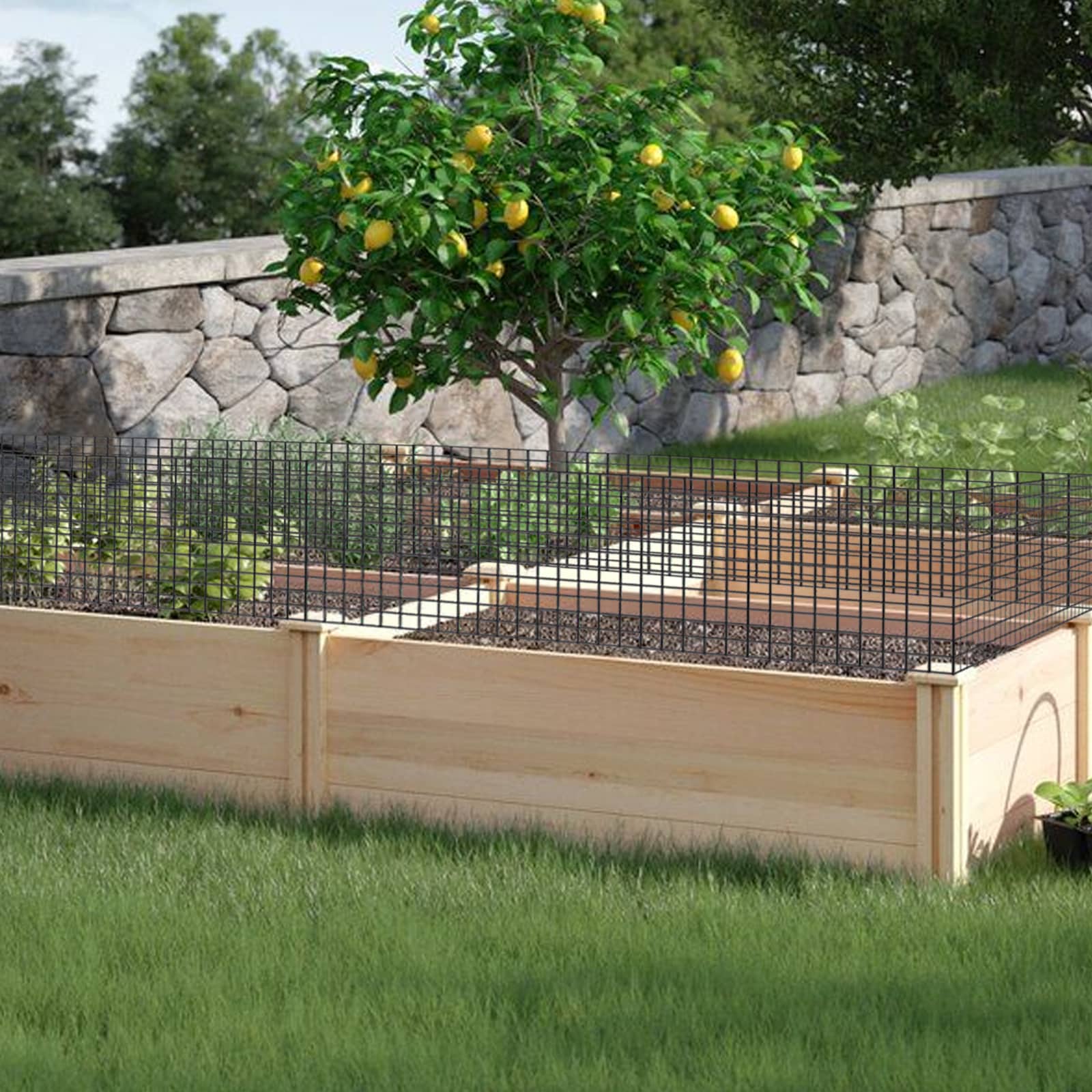 Maocao Hoom BH02635 Rolled-Fence - View #2