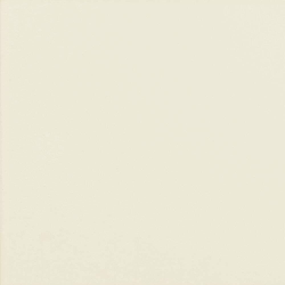 Biography Sabbia 12-in x 12-in Matte Porcelain Cement look Floor and Wall Tile ( 12-sq ft Carton )
