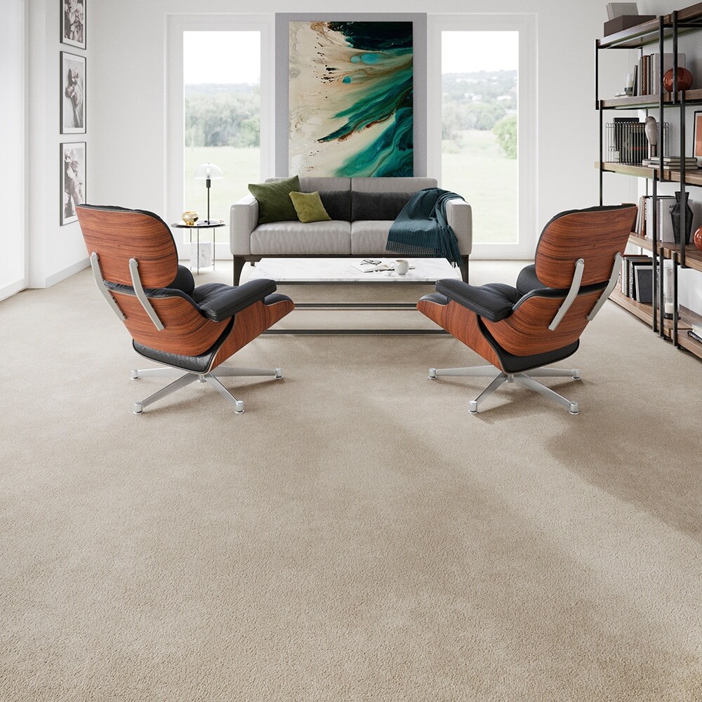 STAINMASTER PetProtect SS007-L010-0808 Carpet-Samples - View #6