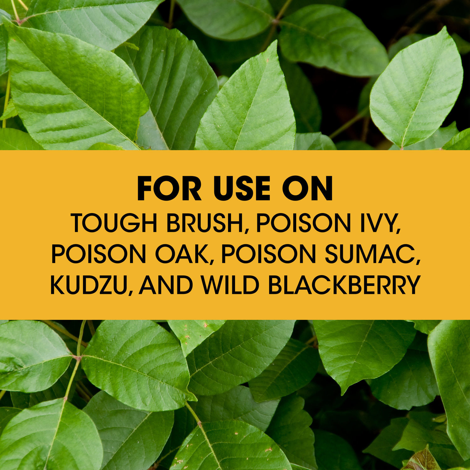 Roundup Poison Ivy and Tough Brush 32-oz Concentrated Brush Killer in ...