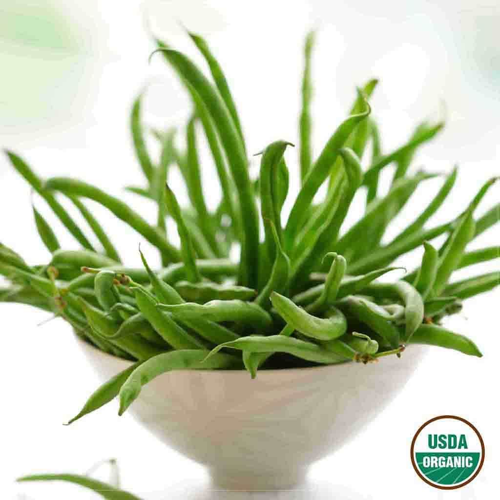 Ferry-Morse LC25.1300 Vegetable-Herb-Seeds - View #3
