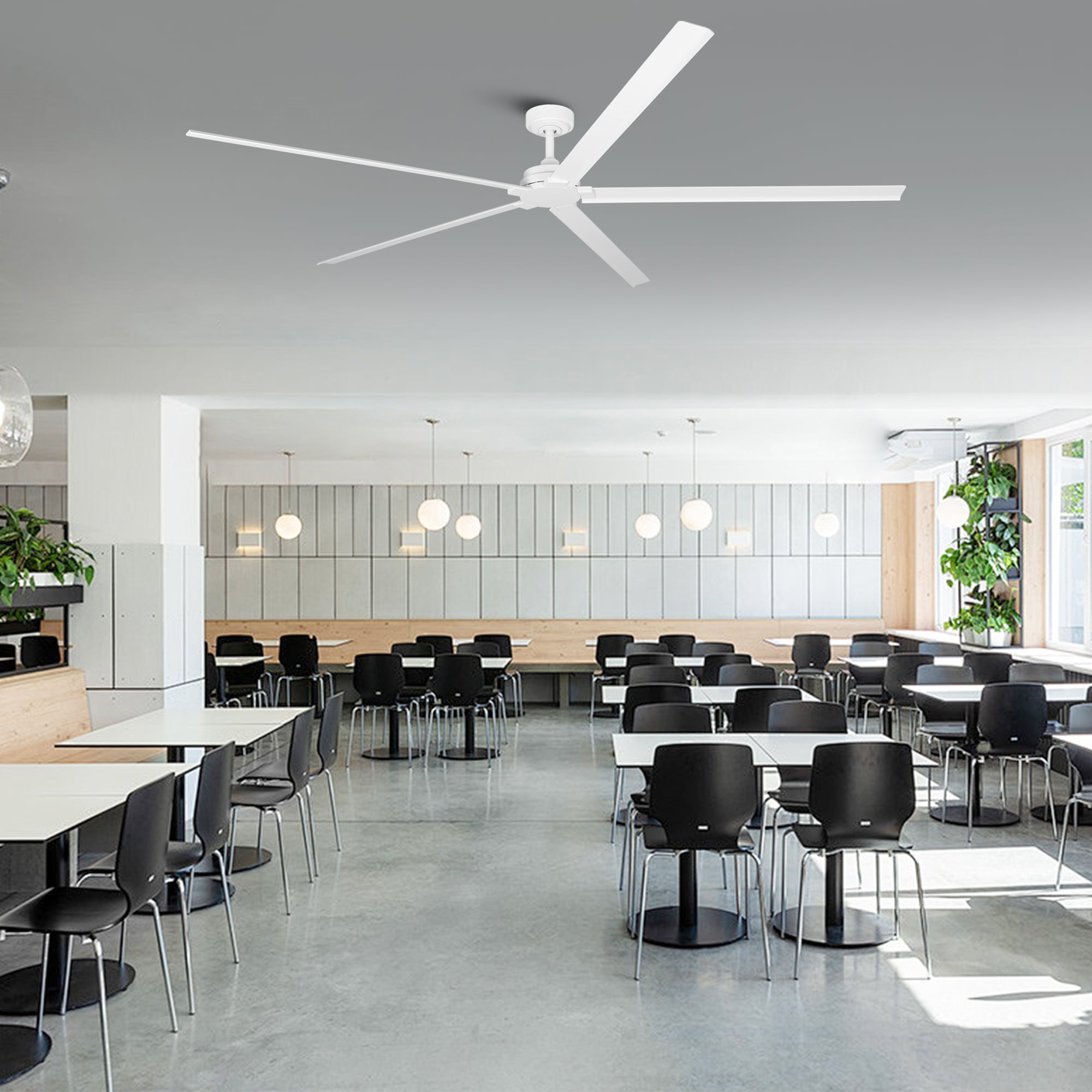 Parrot Uncle F8006WH Ceiling-Fans - View #12