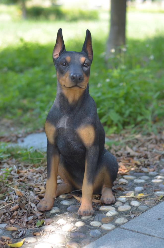 Simulation Animal Brown-black Doberman Pet Dog Model Handmade Toy