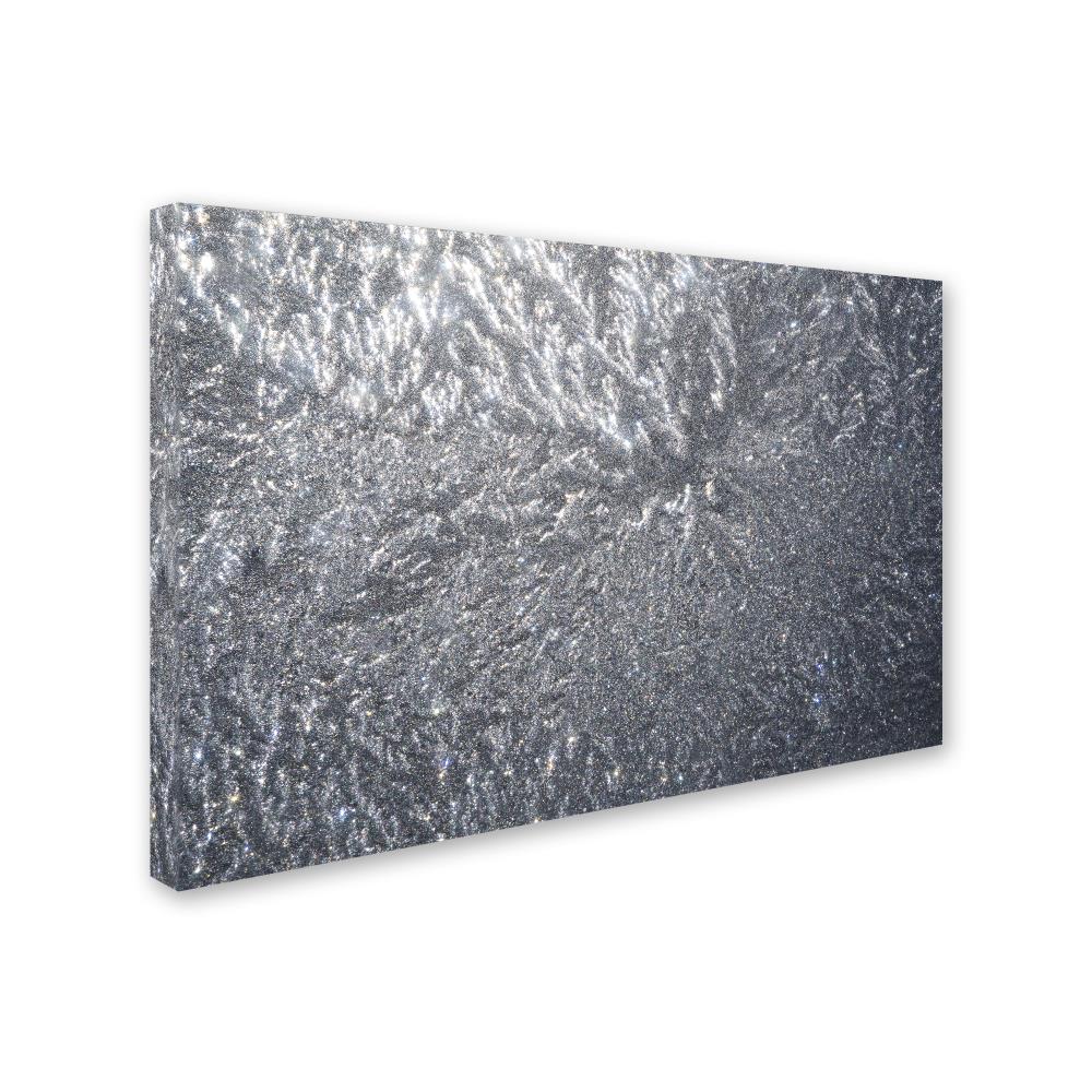 Trademark Fine Art KS01100-C3047GG Wall-Art - View #2