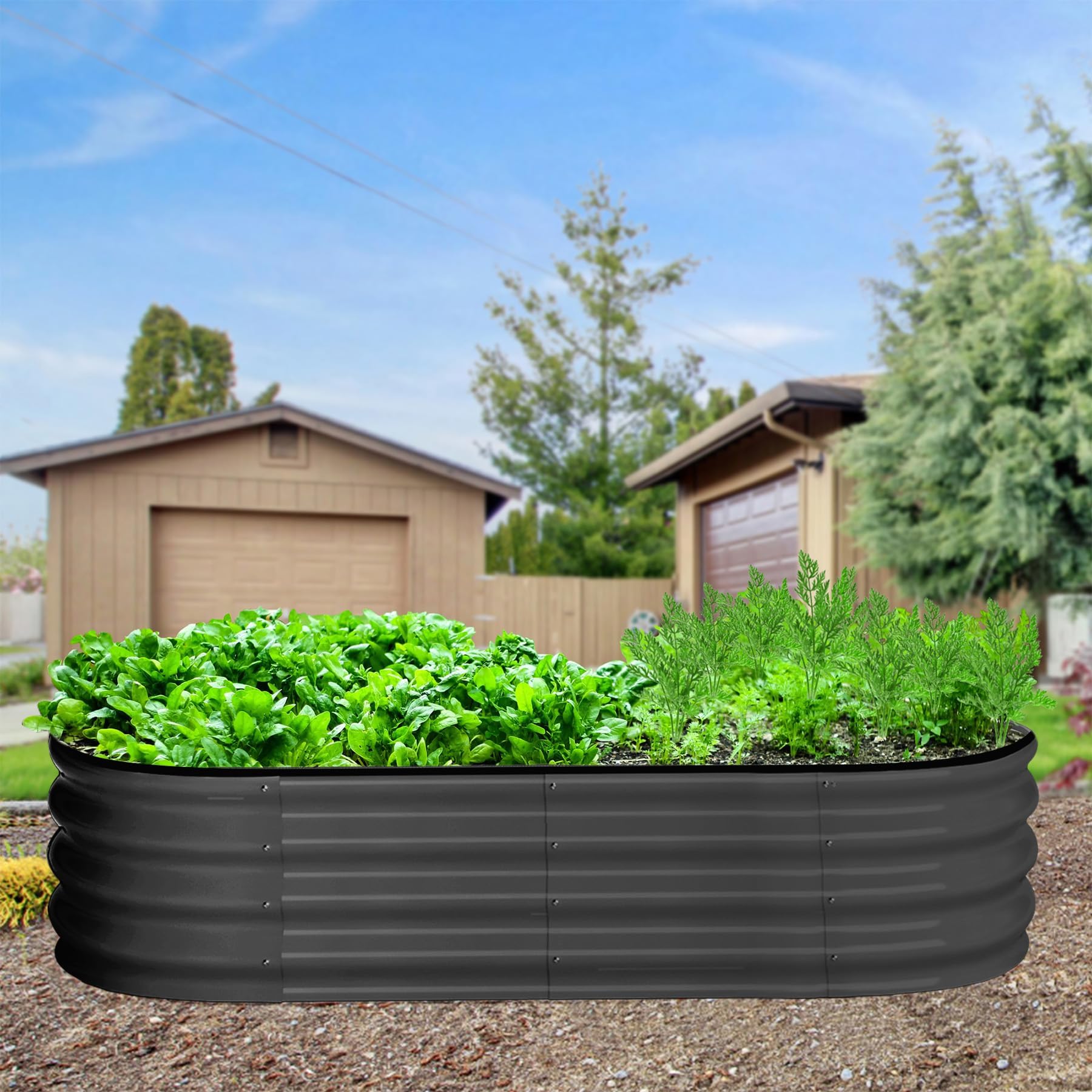IdealHouse L409CECAFEE Raised-Garden-Beds - View #8