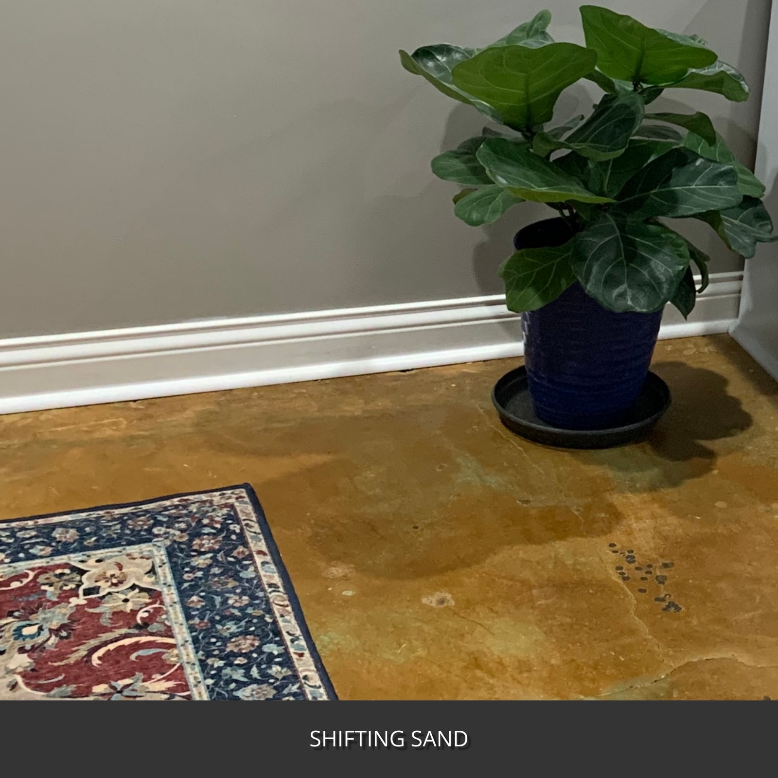 Direct Colors DC-CAS-SHS-5GAL Concrete-Stains - View #5