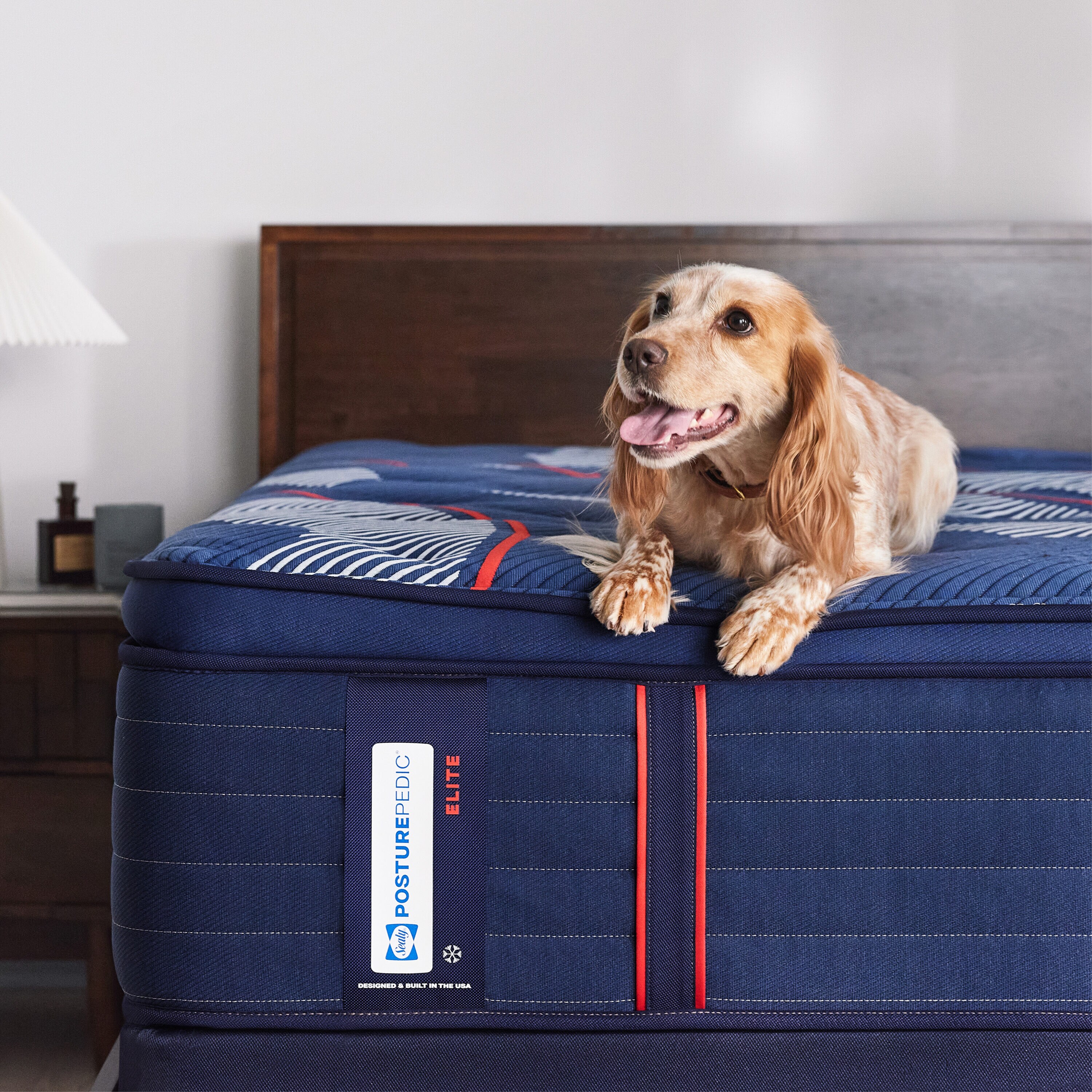 Sealy 53200462 Mattresses-Boxsprings - View #13
