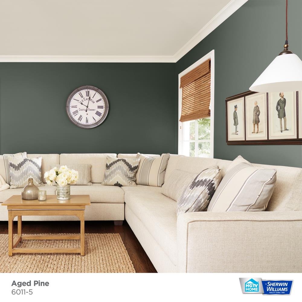 HGTV HOME by Sherwin-Williams 6011-5-2557206 Int-Ext-Paint - View #3