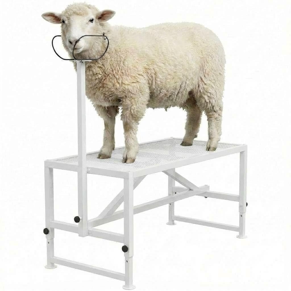 DEXSO 500lbs 47 X 23in Adjustable Rust Resistant Metal Goat Milking Stand with Headpiece Nose Loop