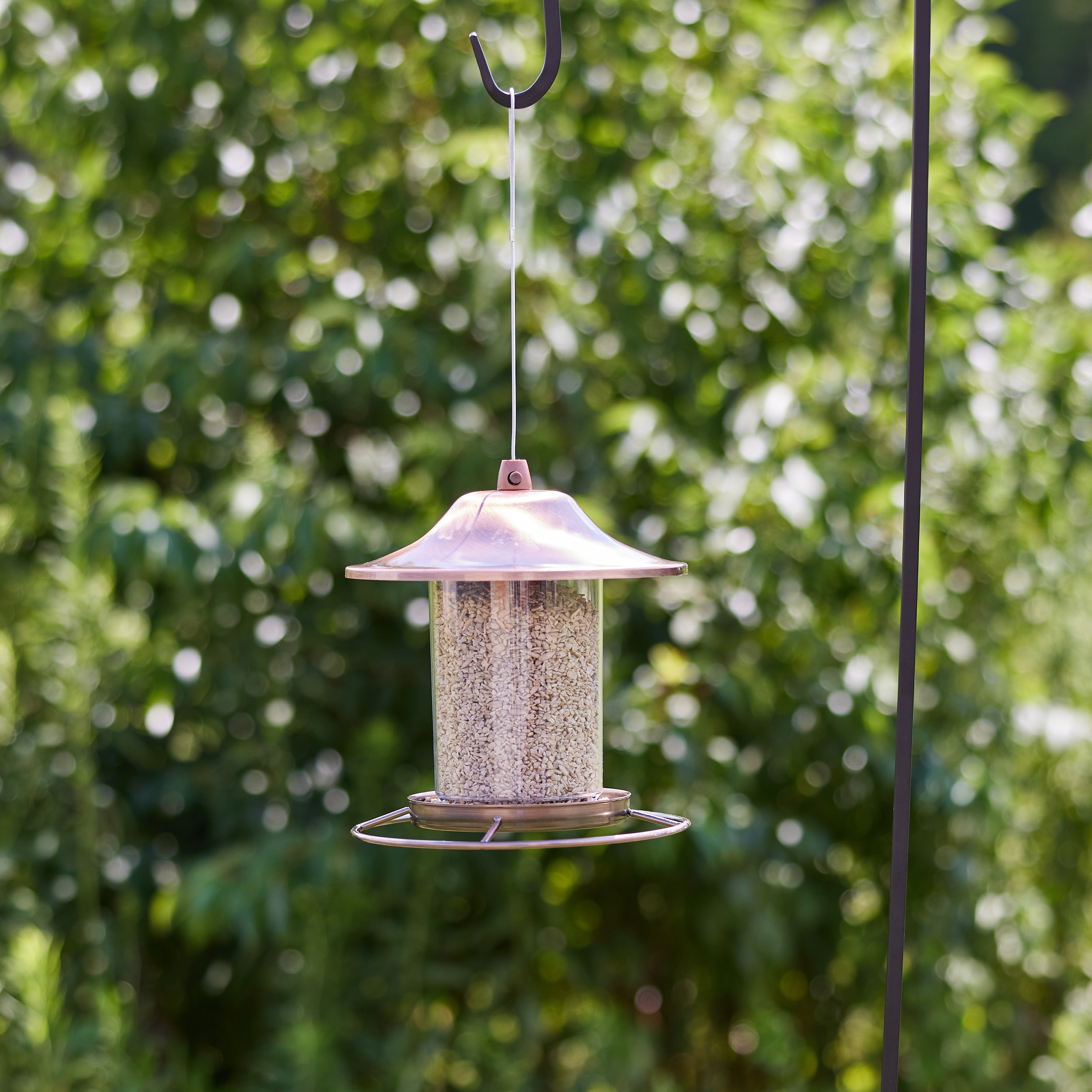 National Audubon Society Sunflower Seed Chips Hulled sunflower Bird ...