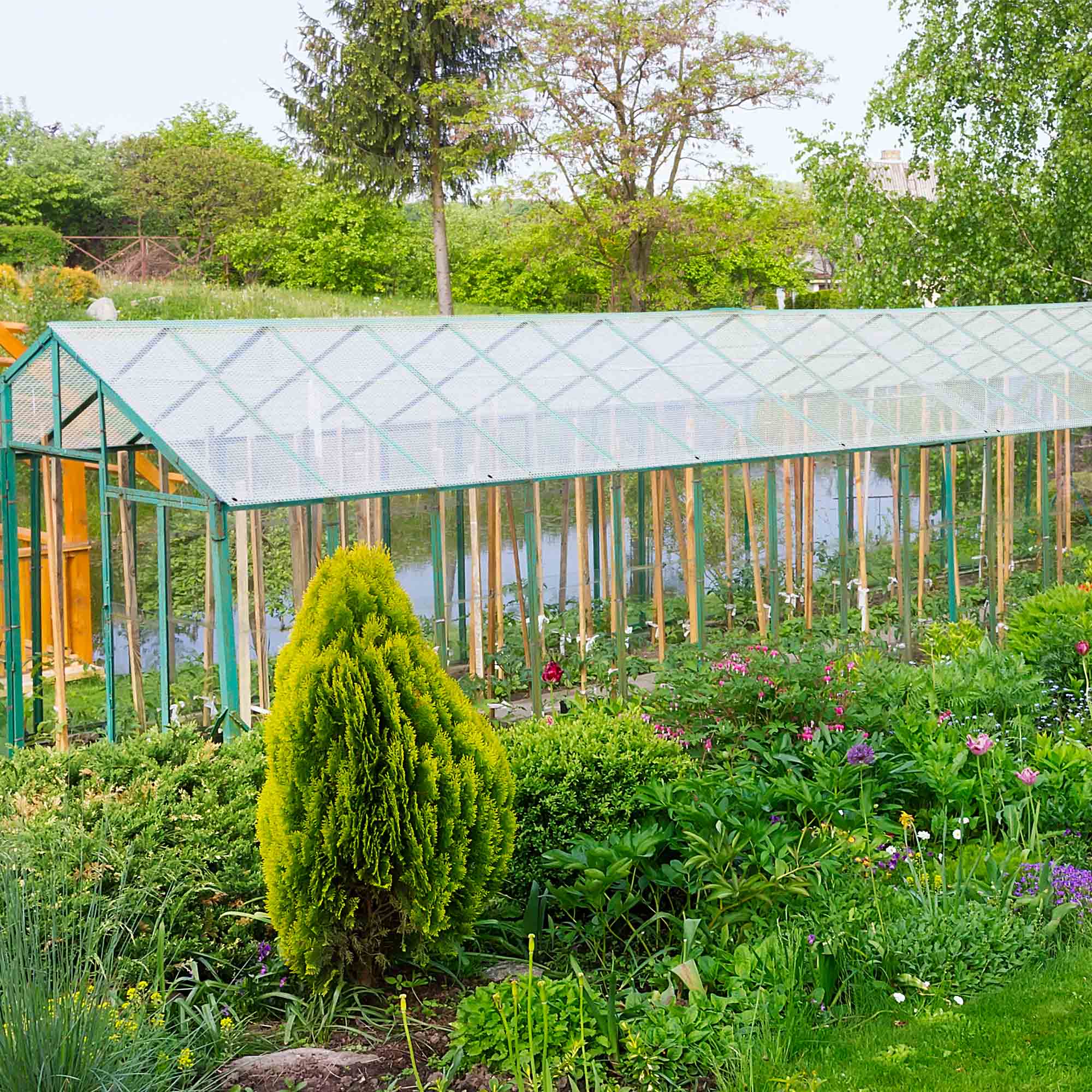 Yescom 07PTR004-6X12F-08-LO tarps - View #2