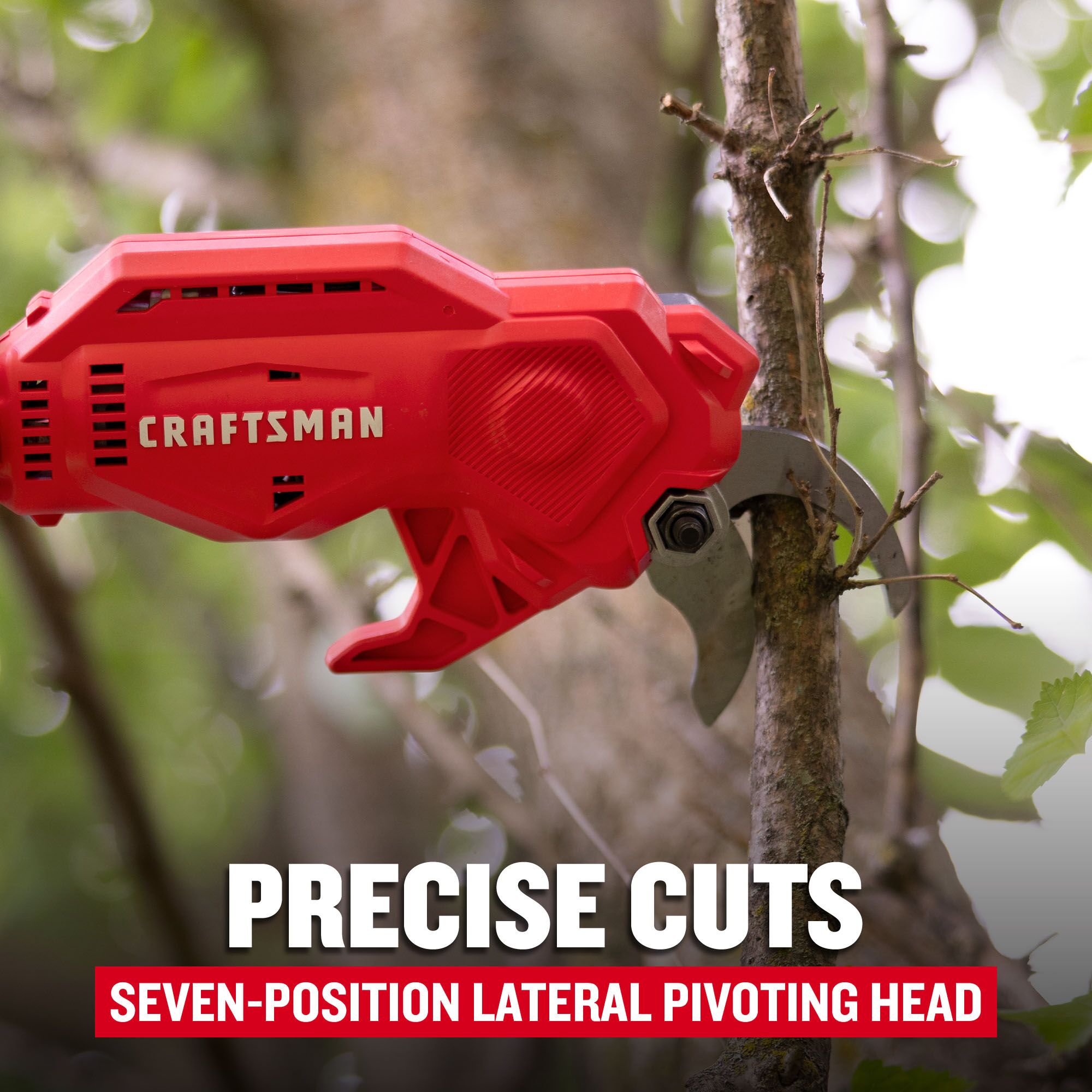 CRAFTSMAN CMCPPR320D1 Pole-Pruning - View #6