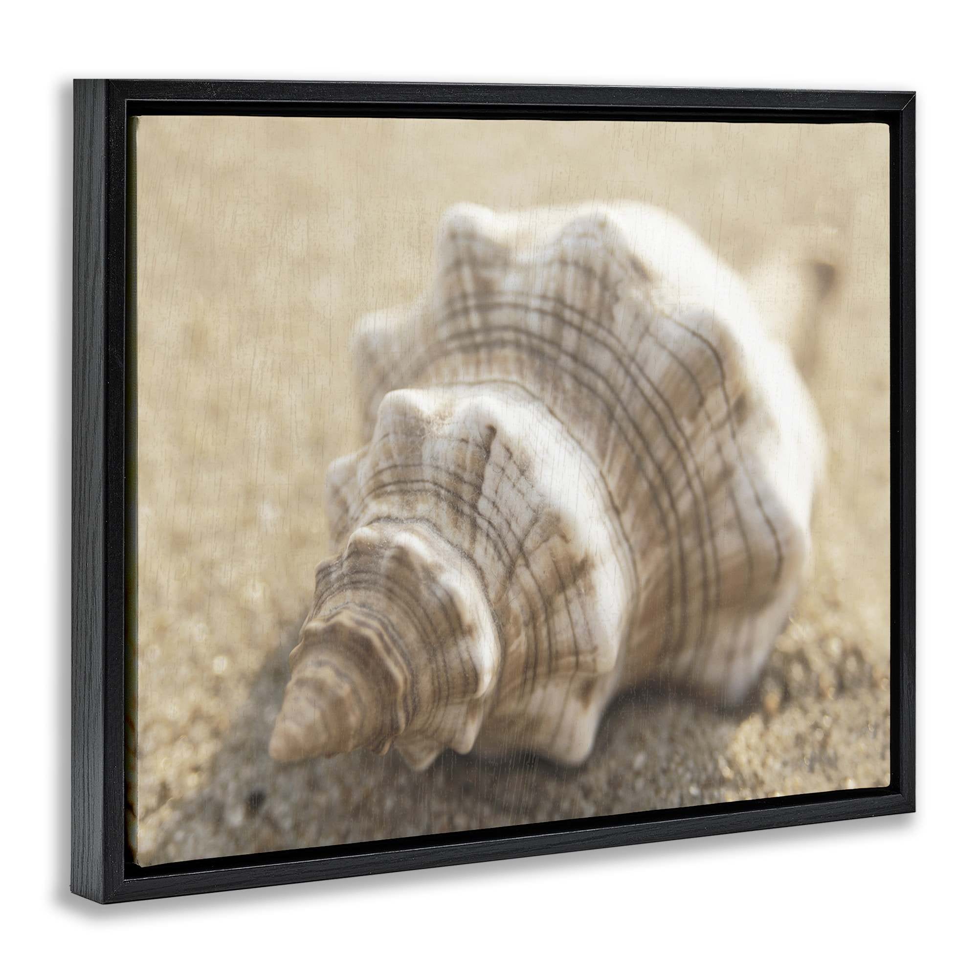 Stupell Industries BS-149-FFB-16X20 Wall-Art - View #2