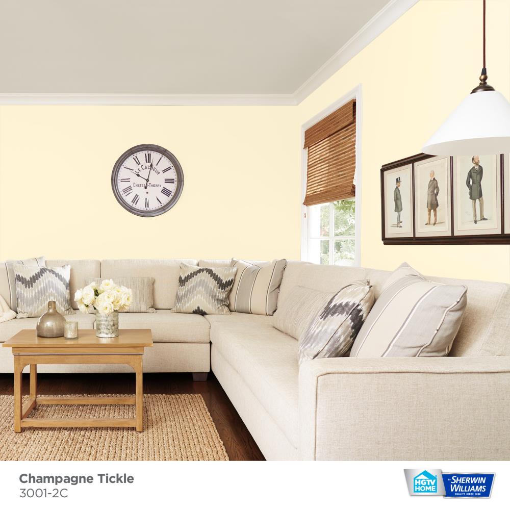 HGTV HOME by Sherwin-Williams 3001-2C-2557201 Int-Ext-Paint - View #3