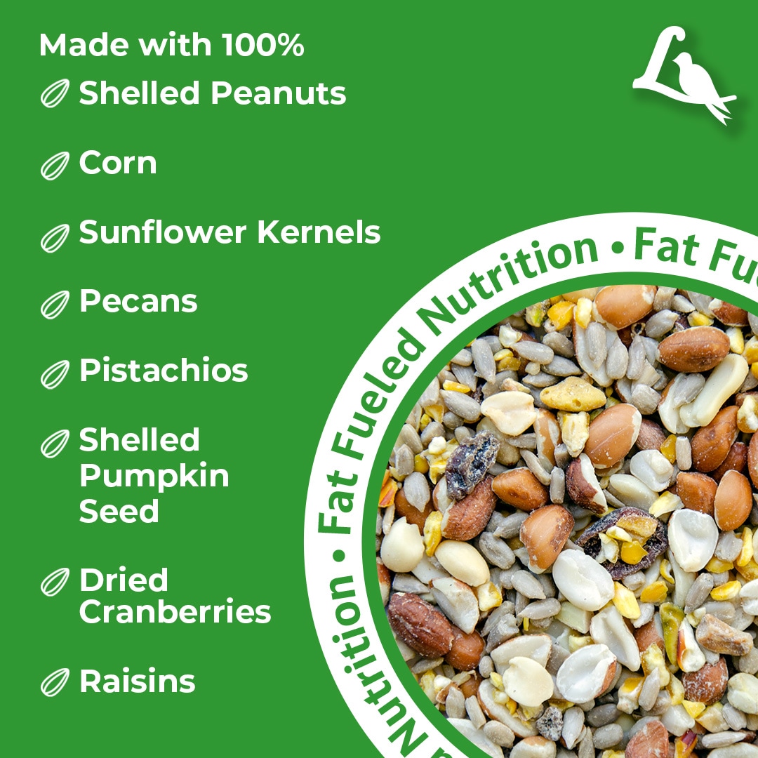 Lyric 2647334 Bird-Squirrel-Food - View #3