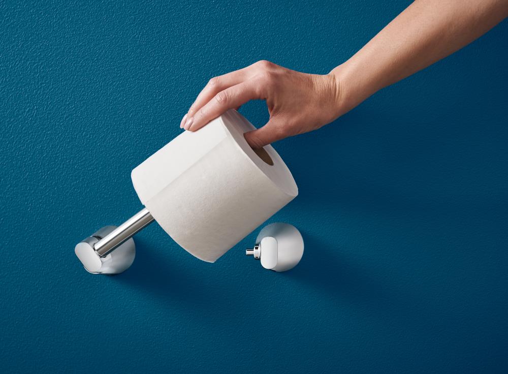 Moen Kasey Chrome Wall Mount Pivot Toilet Paper Holder in the