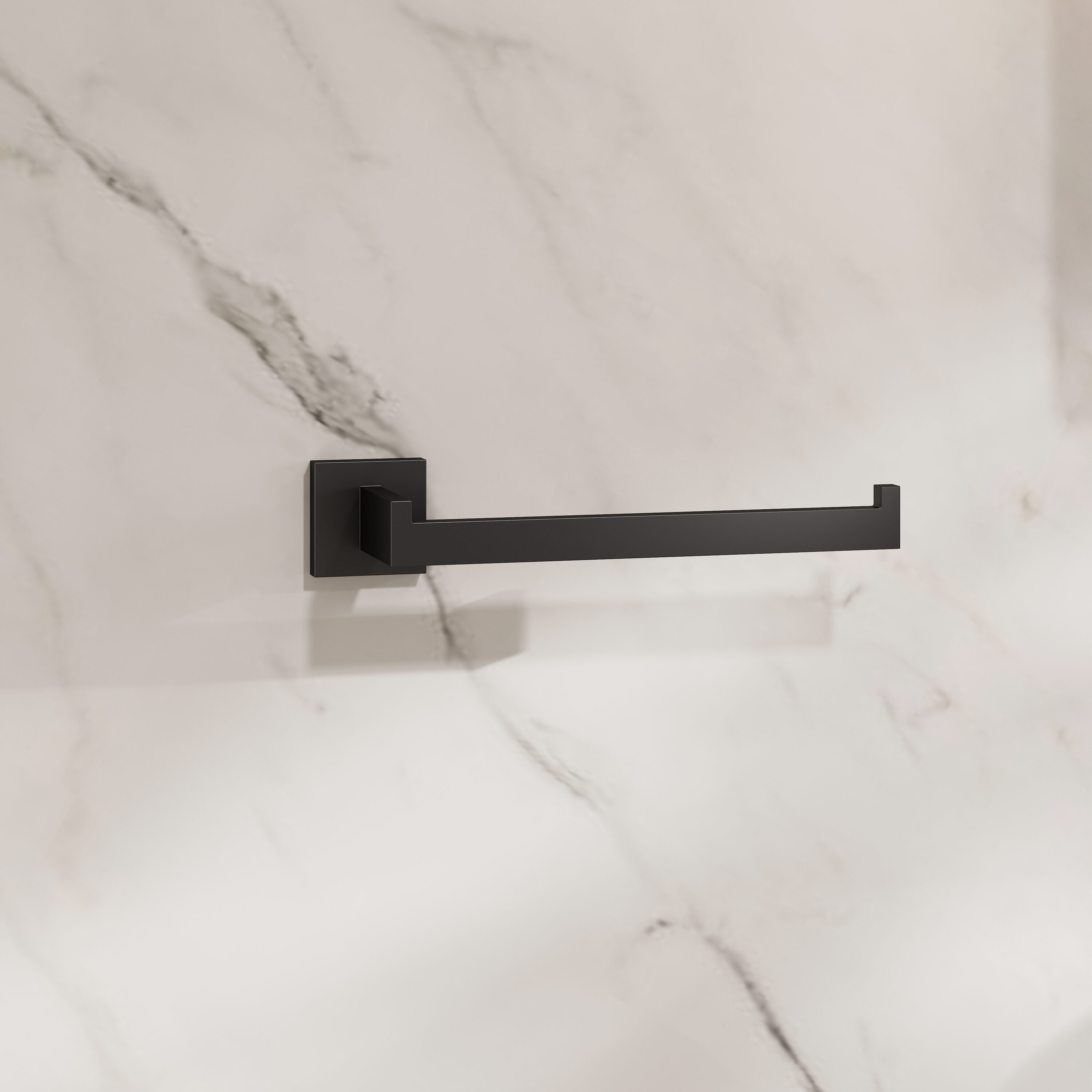 CRANACH Farne 10-in Wall Mount Single Arm Stainless Steel Matte Black Towel Bar