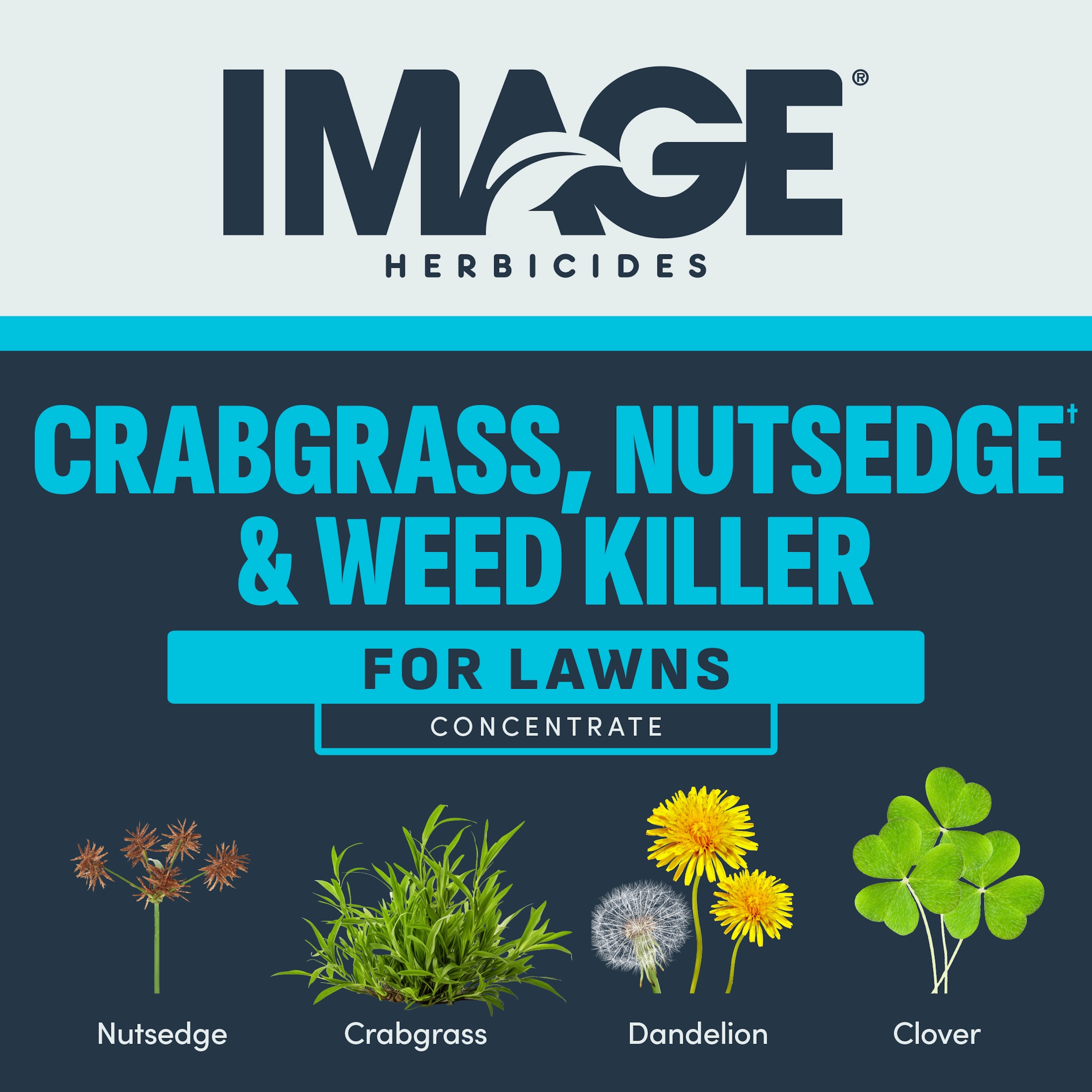 IMAGE 1357600691 Weed-Killers - View #14