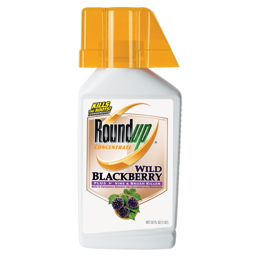 Roundup 5437010 32-oz Concentrated Weed and Grass Killer