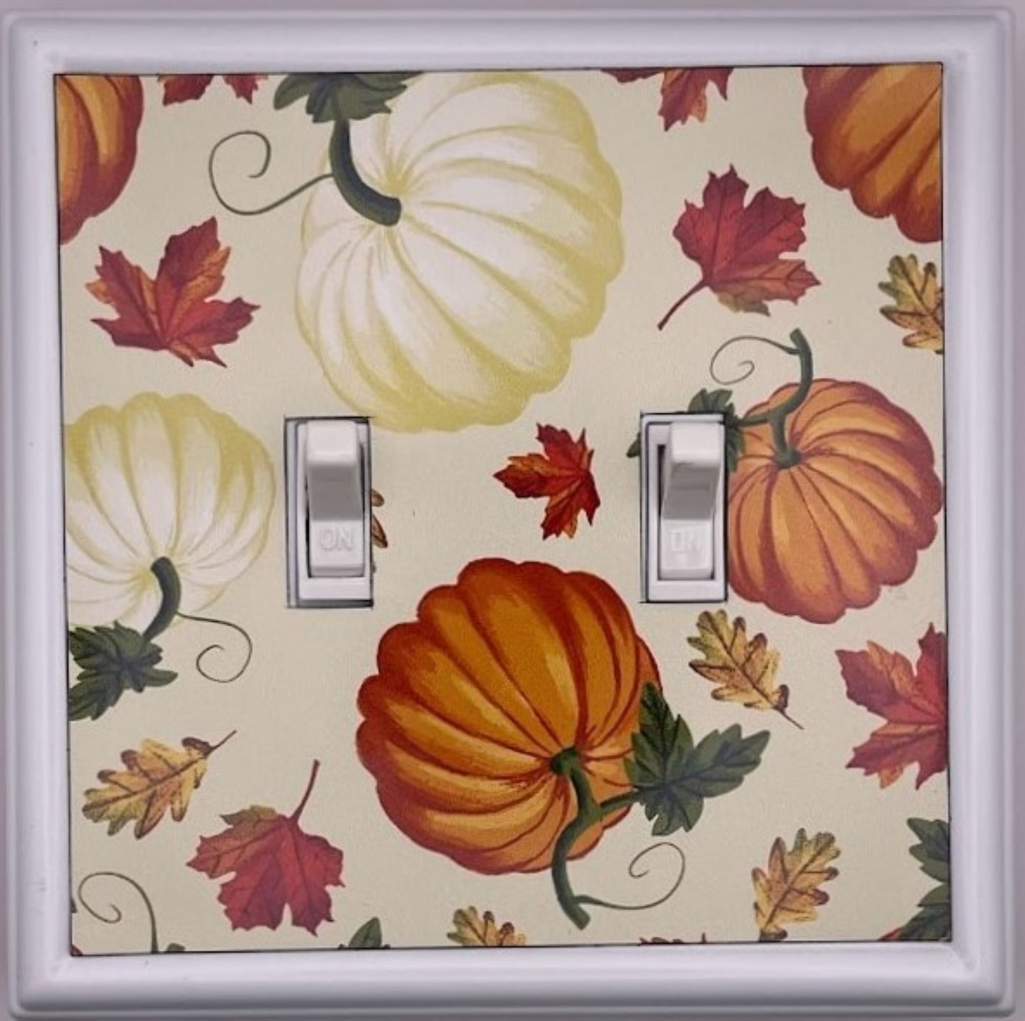 Switch Ups 423638 Electrical-Wall-Plates - View #4