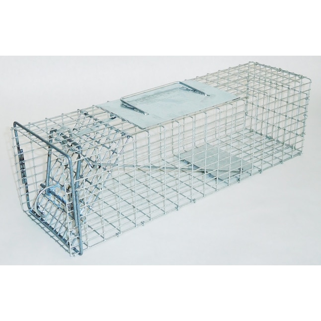 Safeguard Squirrel and Rat Trap Rodent Traps | 00052818