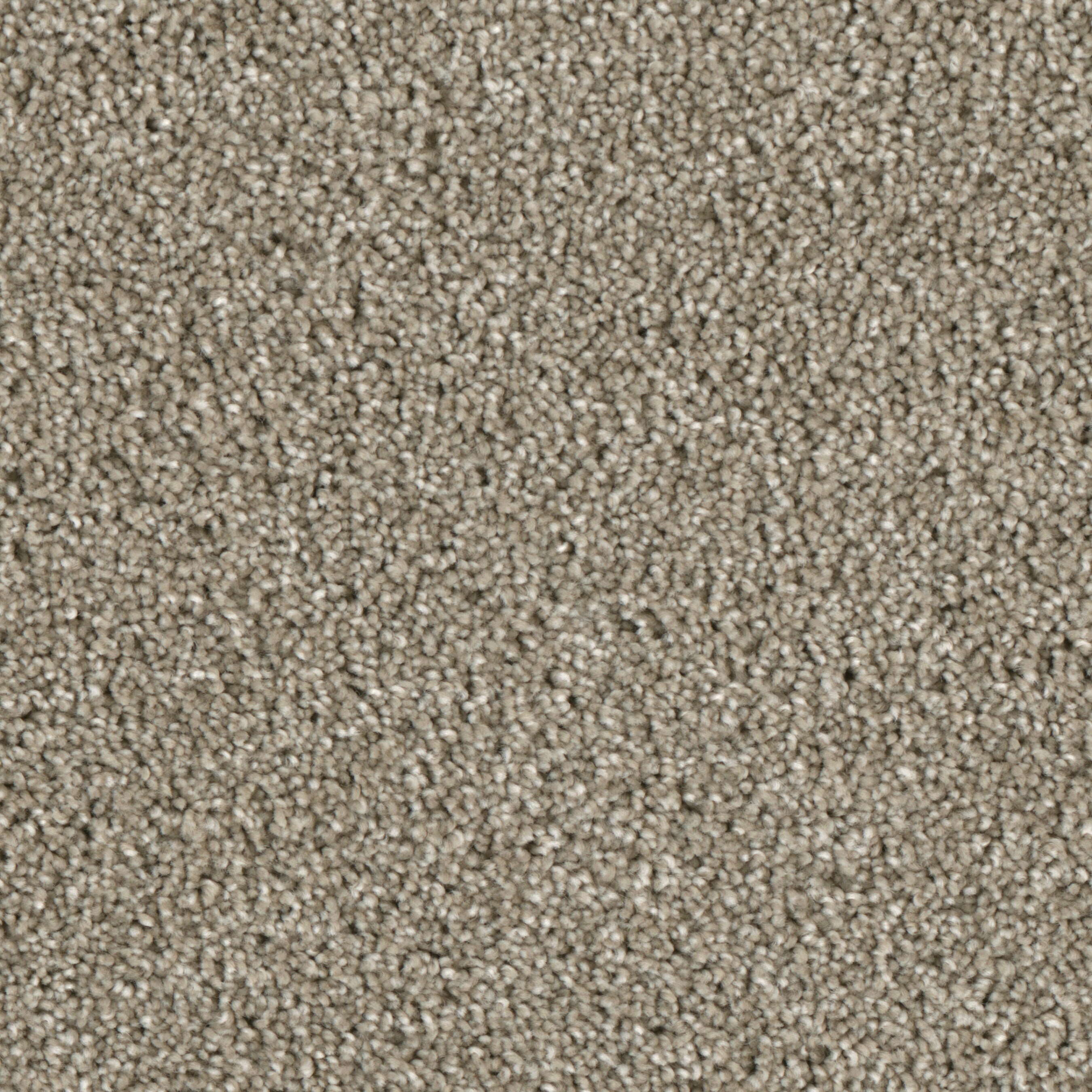 STAINMASTER S9242-911-1200-MO Grant Park Walking Trail Brown 42-oz sq yard Polyester Textured Indoor Carpet