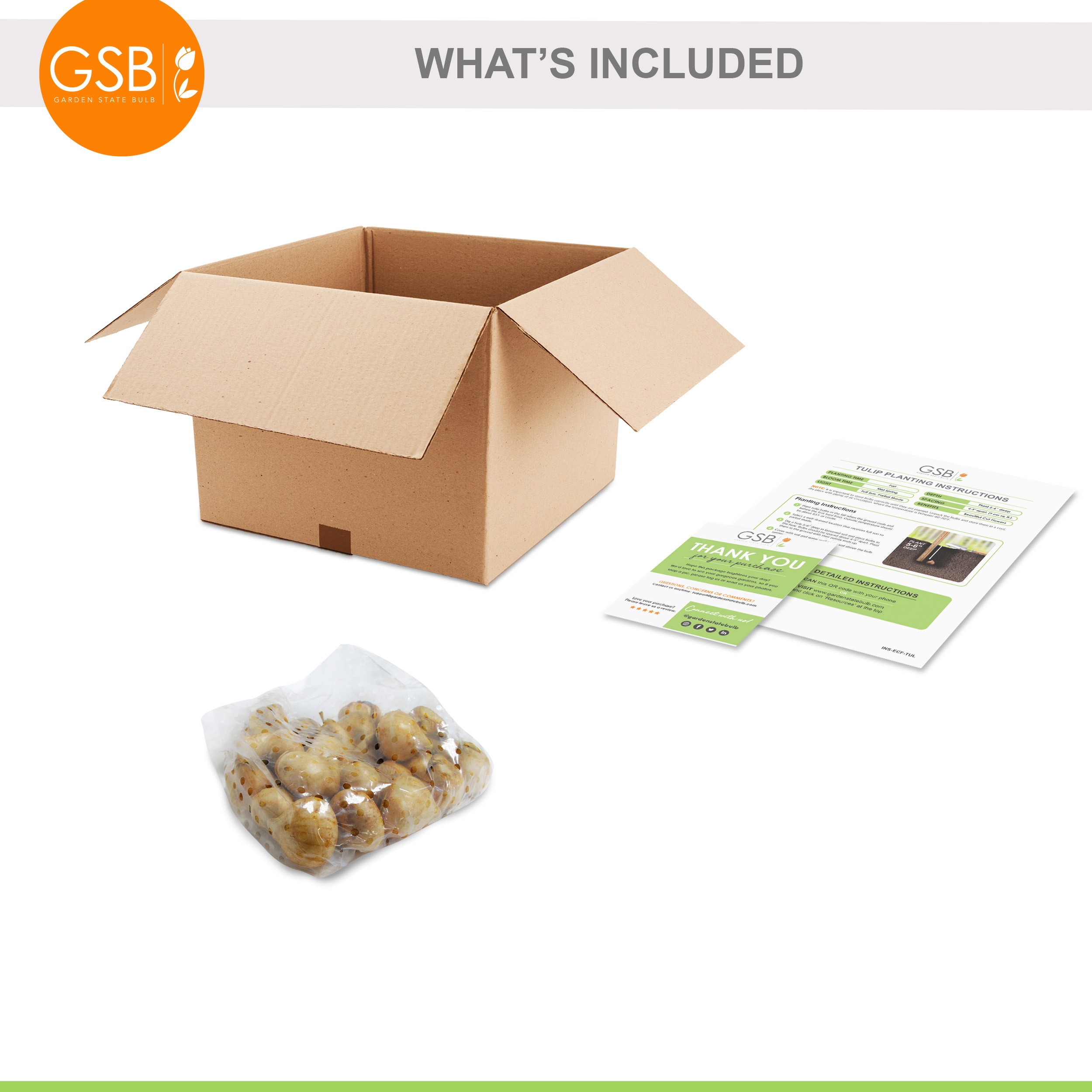 Garden State Bulb ECF-39-25-01 Plant-Bulbs - View #7