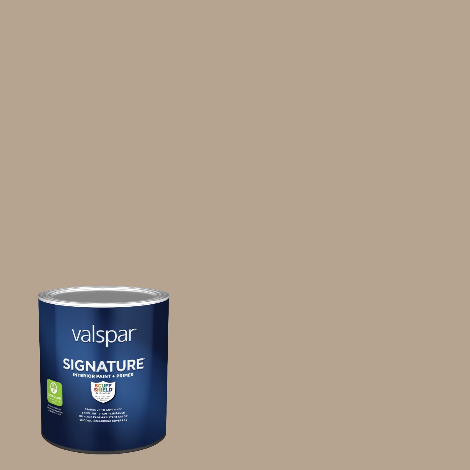 Maintenance One® Interior/Exterior Latex Paint, Flat Finish, 5 Gallon, RAA  Hardware