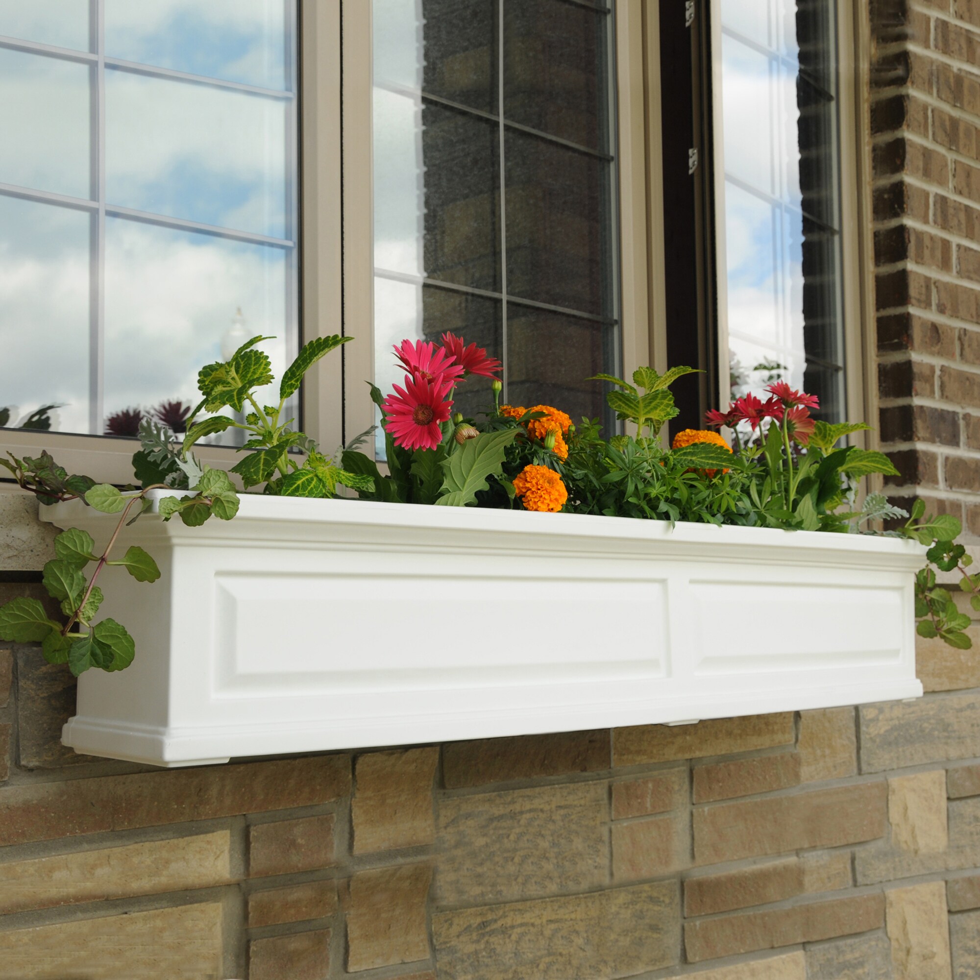 Mayne 4832-W Planter-Window-Box - View #8